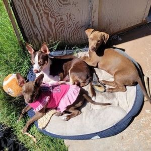 Meet your Posher, Phil